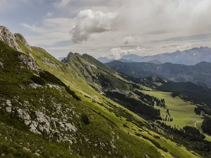 consequuntur nihil sunt