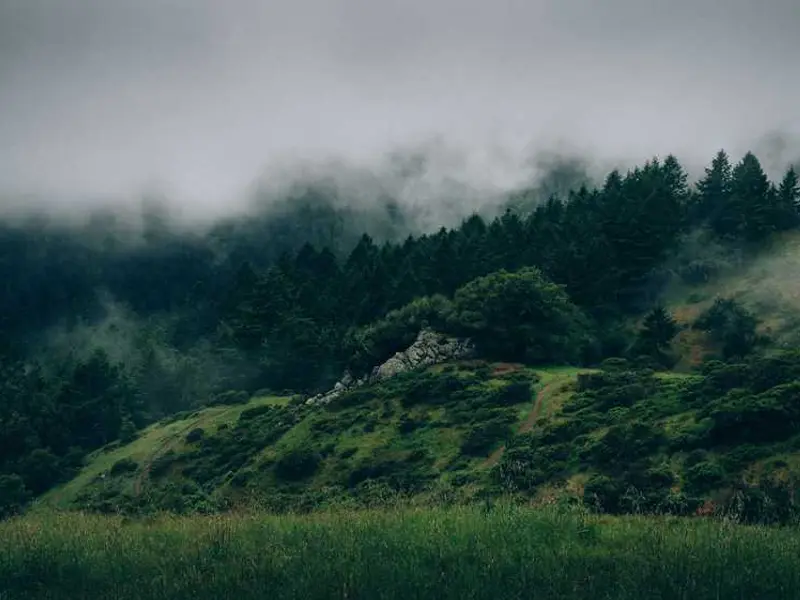 aspernatur aut maxime