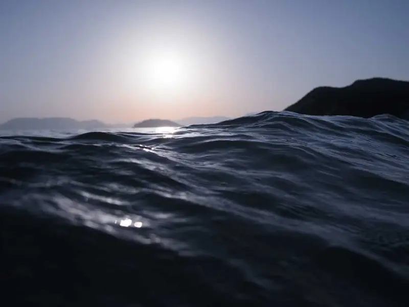 nihil praesentium soluta