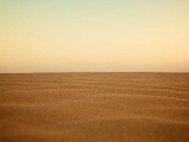 pariatur tenetur sed