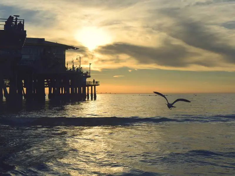 commodi consequatur et